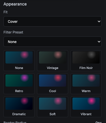 Appearance panel with fit mode and filter presets.